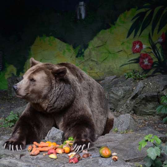 Staňte sa priateľmi ZOO